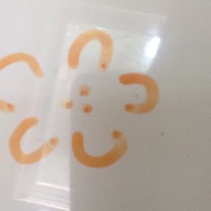 Meet your Posher, Maureen